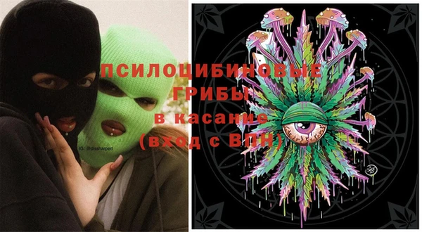 шишки Алзамай