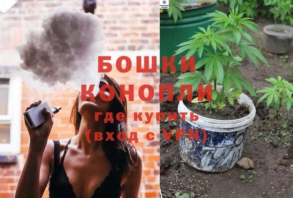 шишки Алзамай