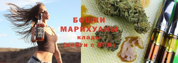 шишки Алзамай