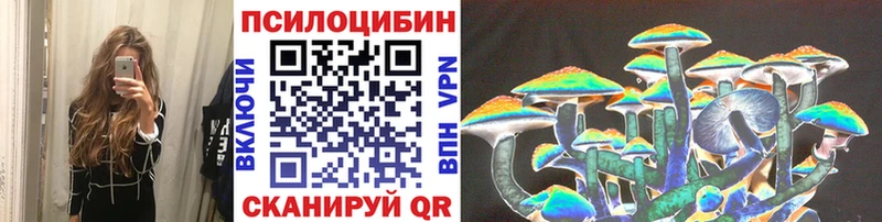 купить наркотик  Трёхгорный  мега tor  Псилоцибиновые грибы Psilocybine cubensis 